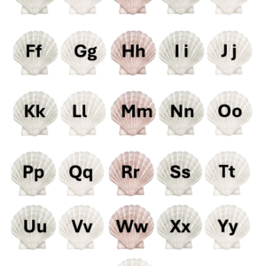 ABC Shells Sheet for Sensory Bag